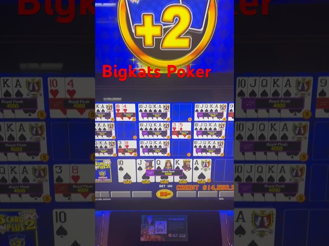 Gaffed up this Royal. #bigkatspoker #royal #casino class=