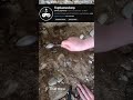 Digging 1 time for every sub #reallife #memes #bunker #digging #spoon #everysubscriber #suffering
