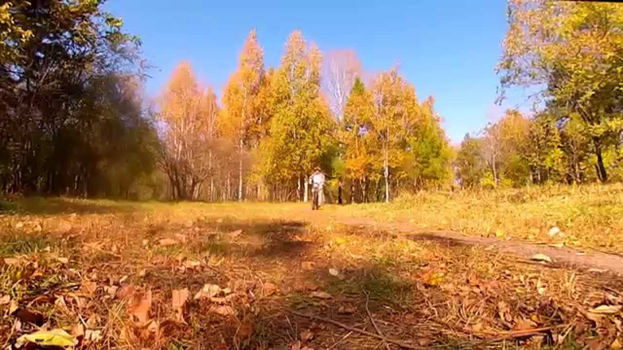 Турбина туриста листья падают