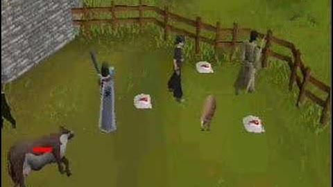 runescape randomness part 2
