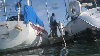 Coastal Cleanup Day 2016
