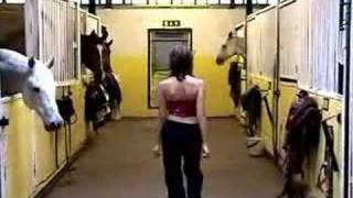 Horse Performance - Joanna Rytel