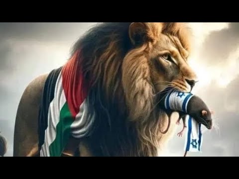 مهرجان تسرح تفكر المدفعجية ديزل و شندي و كنكا و دولسيكا 