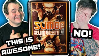 This CARD Game is SO COOL! We Played Sumo Rumble! The Dice Rolling Sumo Battle GAME!