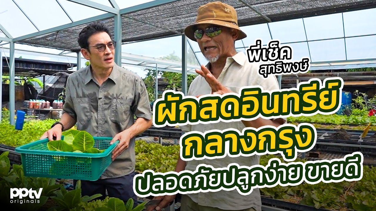 ผักสดอินทรีย์กลางกรุง ปลอดภัย ปลูกง่าย ขายดี | คริตมาแล้ว | Full EP.