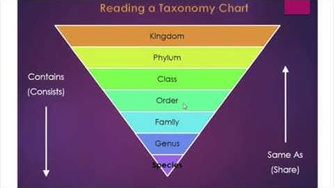 【PTE大西瓜】PTE真题: Re-tell Lecture ·  Taxonomy  · Real Test Question