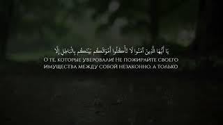 Сура Ан-Ниса «Женщины», 19-42 | Ясир ад-Даусари