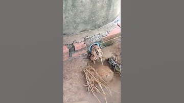 Remove Debris Clogged Culvert Pipe #unclog #drain #shorts