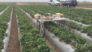 Frailbot Pure Pursuit Testing -- Salinas