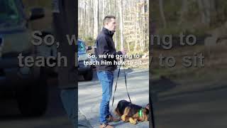 Accountability by Intelligent K9 Dog Training 38 views 9 months ago 1 minute, 2 seconds