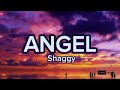 Shaggy  angel feat rayvon life is one big party when youre still young