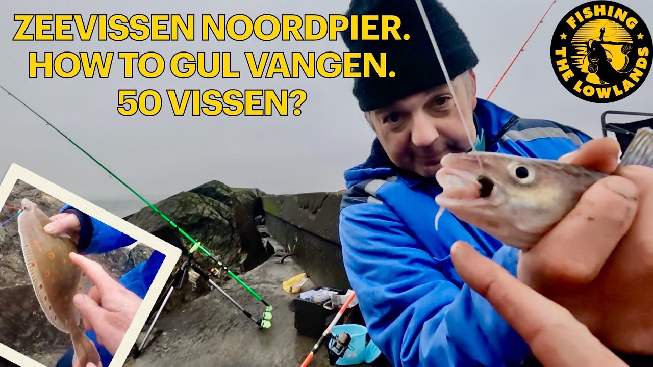 Как: Ловить треску на Северном пирсе в Эймёйдене, Велсен-Норд. Сможем ли мы выловить 50 рыб? Fish...