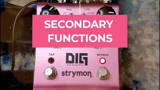 Famous DIG Dual Delay Secondary Functions Tutorial Wealth