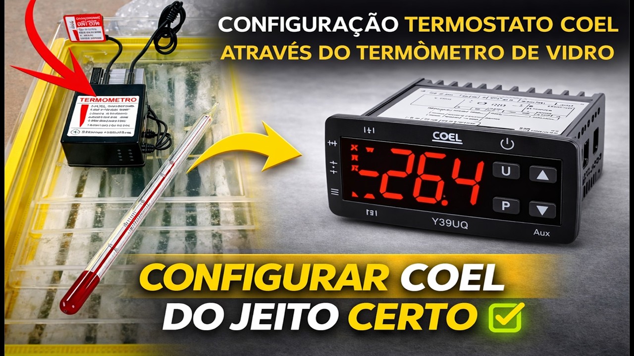 Como configurar e calibrar o Termostato para chocadeiras AGEON A103PID ...