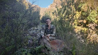 New Zealand Public Land Meat Hunt