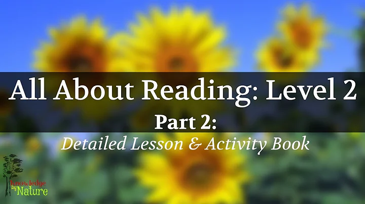 ALL ABOUT READING LEVEL 2 Video 2.2~ HOMESCHOOL READING CURRICULUM | How To Teach Your Child to Read