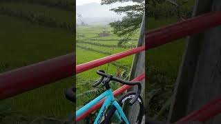 morn🚴♂️ #cycling #cyclinglife #sepeda #fixiebike #foryou