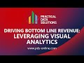 Driving Bottom Line Revenue: Leveraging Visual Analytics