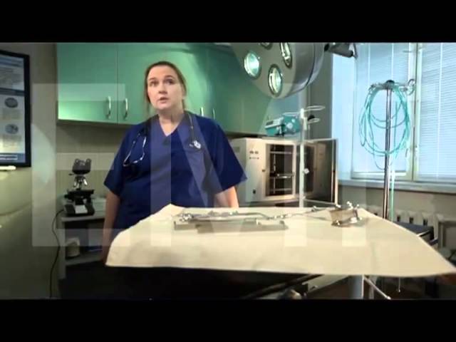 Причины развития дисплазии тазобедренного сустава у собак: как помочь четвероногому другу и чем лечить поражение опорно двигательного аппарата