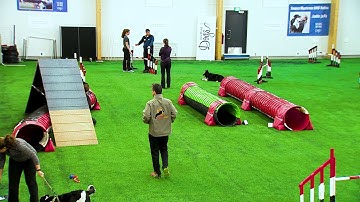 International Agility Training Week - Positional Cue In Jaakko Turn - Preview