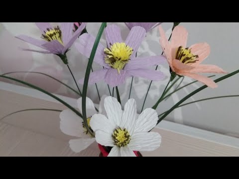 Космея из гофрированной