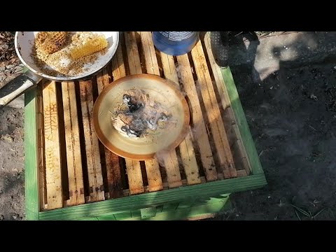 Wideo: Jak Zrobić I Zainstalować Pułapkę Na Pszczoły