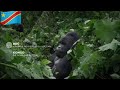  rdc virunga audessus du volcan goma congo afrique