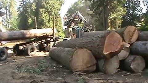 Kenworth Self Load Log Truck