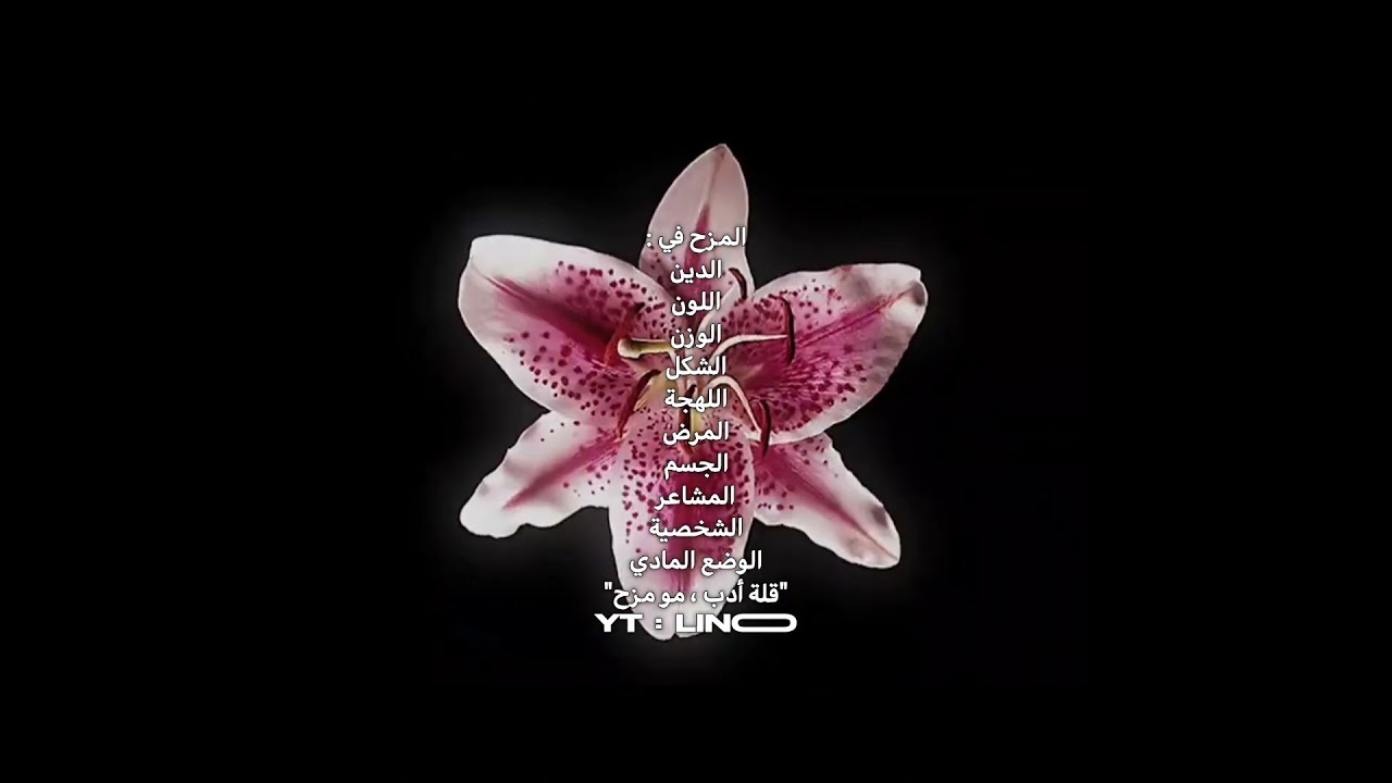 قلة أدب مو مزح #اسلام #islam #fypシ #اهميه #اكسبلور