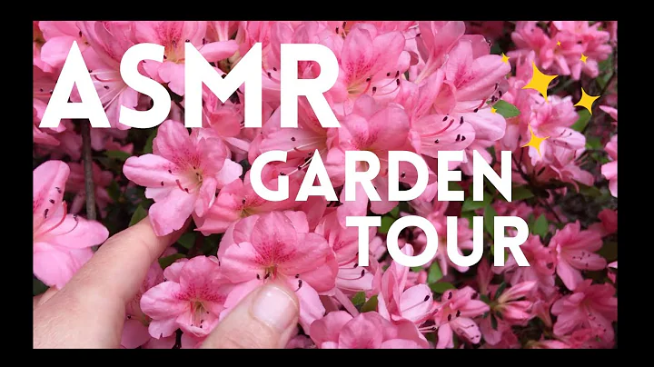 Outdoor ASMR Garden Tour 🌱 Nature Vlog Show & Tell Ramble (lofi, soft spoken, one hour +)
