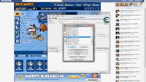 Wild Ones Coin Hack Using Cheat Engine 6.1