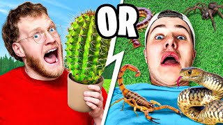 WOULD YOU RATHER IN REAL LIFE (do not try)