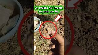 🔥30 day ke liye patakha jamin me gad 😱diya #minivlog #trending #challenge