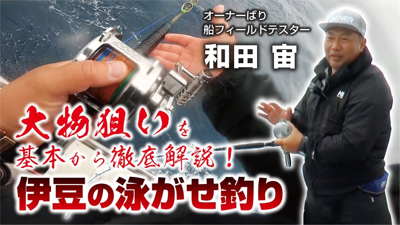 【専用】大物泳がせリーダー80号 5セット 専用大物泳がせリーダー80号 5セット 専用大物泳がせリーダー80号