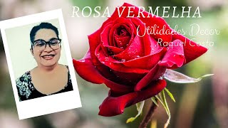 Rosa vermelha 🌹by Raquel Costa