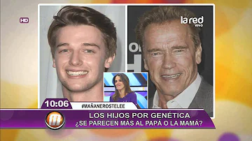 ¿El primer hijo se parece más a la madre o al padre?