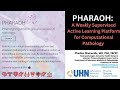 Pharaoh a weakly supervised active learning platform for computational pathology