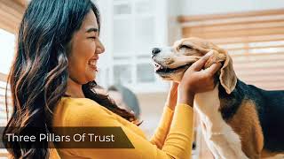 Dog Training Secrets Every Owner Must Know | The Dog Trainer's Bible Review ‼️