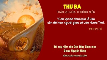 Suy niệm Tin mừng: Thứ Ba tuần 20 mùa Thường niên (Mt 19, 23-30) - ĐTGM Giuse Nguyễn Năng