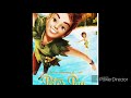 Peter Pan  - LPS BOTOSANI- STORIES COME ALIVE