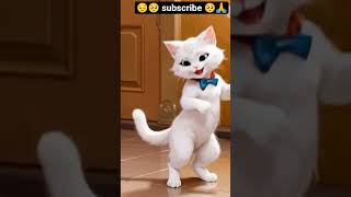 Cute Cat