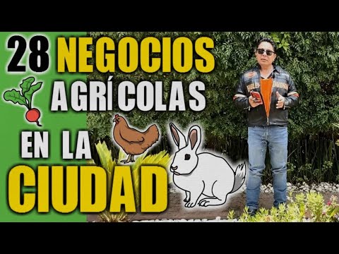Video: Aprenda sobre los tipos de herbicidas aptos para mascotas