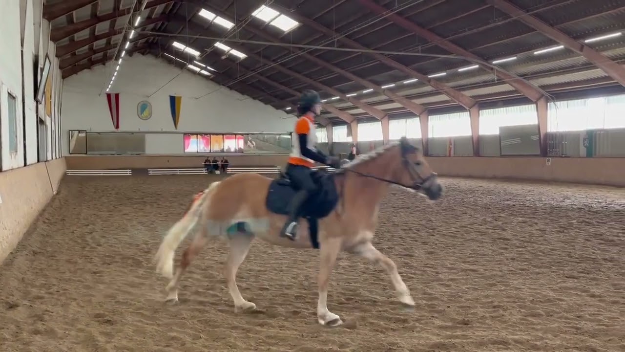 Finale Schulpferdetrophy 2025 | Shetty Farm 4-er Team dressurbetont