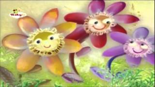 La Canción Del Pastor - Babytv Español