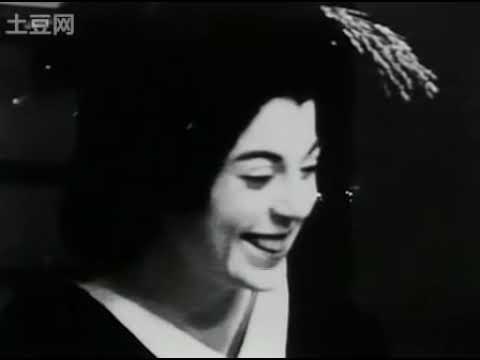 English The Secret Lives of Geisha