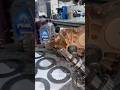 Está faltando óleo no mercado!