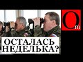 Шойга! Герасимов! Где переводчики для писем Богдана Хмельницкого?