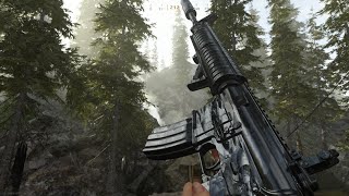 67-7 (MW2019)