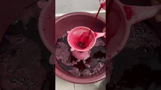 Jus De Bissap
