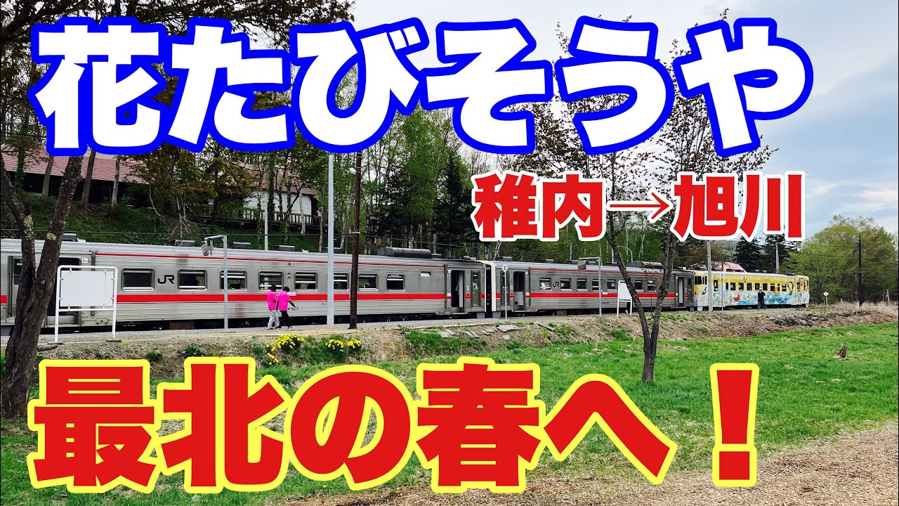 稚内→旭川】行こう、最北の春へ！2024年 花たびそうや号 稚内から旭川
